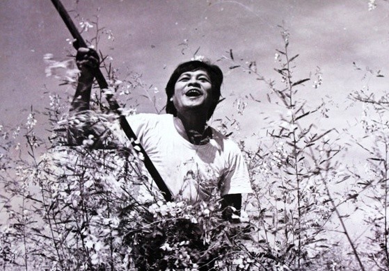 NSND Đường Tuấn Ba qua đời - ảnh 1