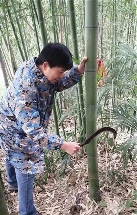 Học youtuber triệu view, thầy giáo bỗng chốc nổi tiếng nhất mùa COVID-19 vừa qua! - ảnh 2