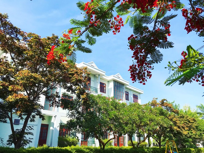 Đến trường ĐH Nội vụ Hà Nội Phân hiệu tại Quảng Nam – Đà Nẵng để học tập, khám phá du lịch - ảnh 13