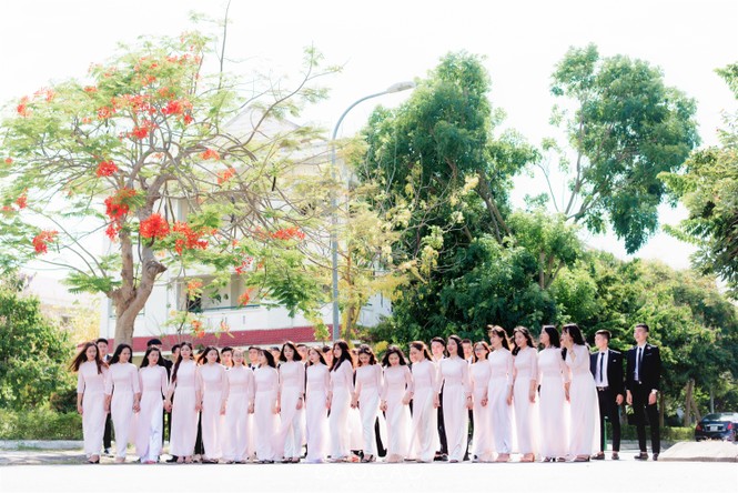 Đến trường ĐH Nội vụ Hà Nội Phân hiệu tại Quảng Nam – Đà Nẵng để học tập, khám phá du lịch - ảnh 17