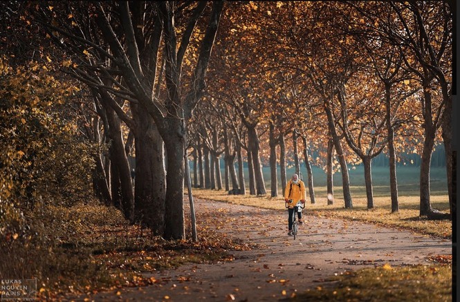 Bạn đã bao giờ nghe tới “Tour du lịch 1 giờ đồng hồ” tại Paris? - ảnh 15