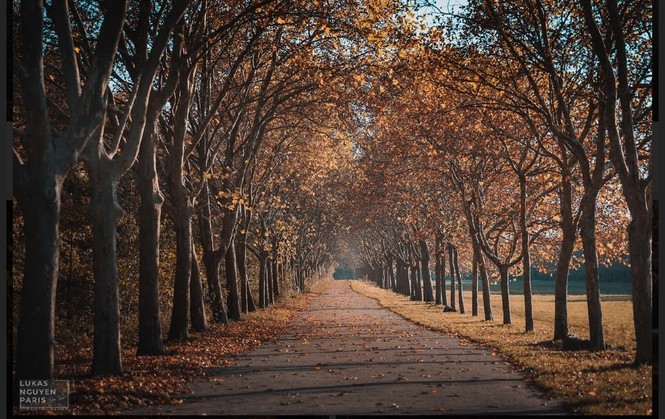 Bạn đã bao giờ nghe tới “Tour du lịch 1 giờ đồng hồ” tại Paris? - ảnh 7