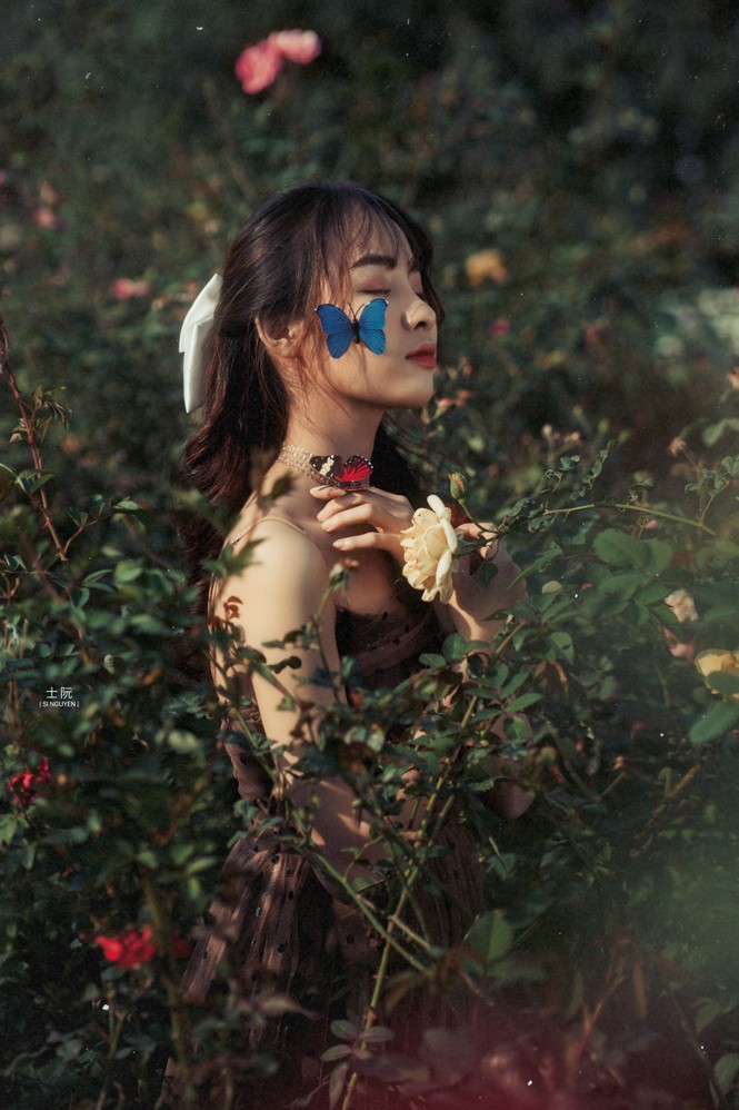 Nữ sinh Bách khoa hóa công chúa mơ màng giữa rừng hoa - ảnh 2