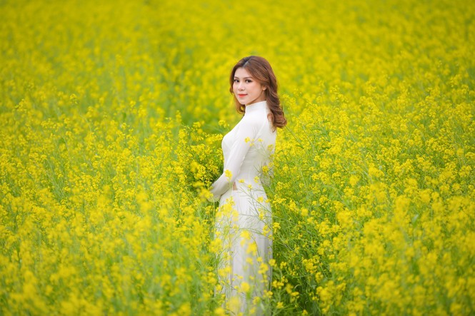 Nữ sinh Kinh Công đẹp dịu dàng giữa cánh đồng hoa cải vàng rực rỡ - ảnh 2