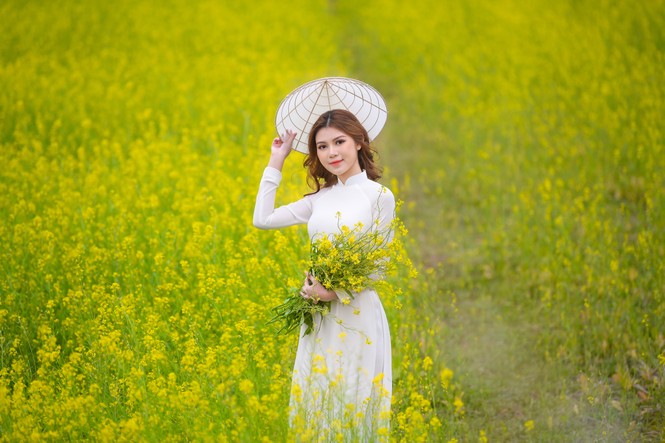 Nữ sinh Kinh Công đẹp dịu dàng giữa cánh đồng hoa cải vàng rực rỡ - ảnh 5