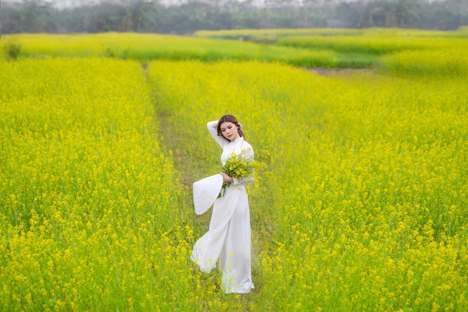 Nữ sinh Kinh Công đẹp dịu dàng giữa cánh đồng hoa cải vàng rực rỡ - ảnh 6