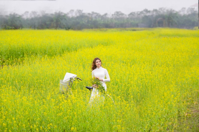 Nữ sinh Kinh Công đẹp dịu dàng giữa cánh đồng hoa cải vàng rực rỡ - ảnh 7