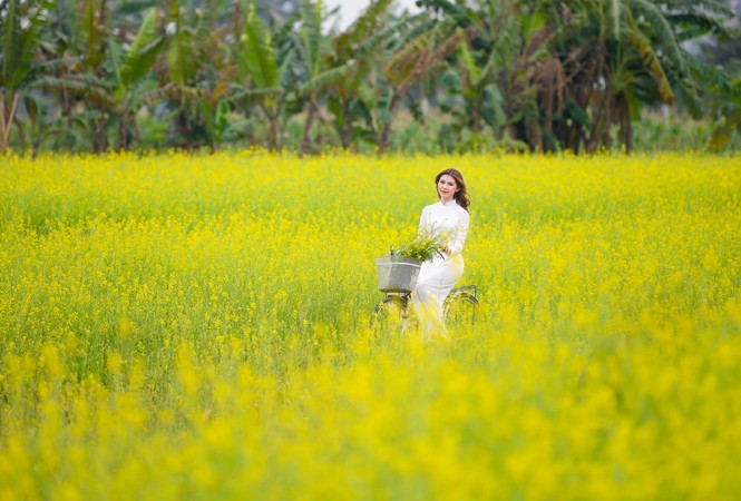 Nữ sinh Kinh Công đẹp dịu dàng giữa cánh đồng hoa cải vàng rực rỡ - ảnh 8