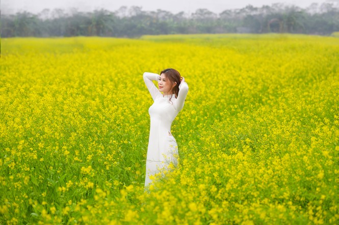 Nữ sinh Kinh Công đẹp dịu dàng giữa cánh đồng hoa cải vàng rực rỡ - ảnh 9