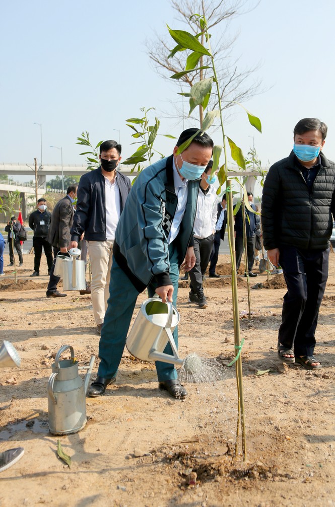 Hà Nội cùng Bộ TN&MT hưởng ứng chương trình trồng 1 tỷ cây xanh - ảnh 5