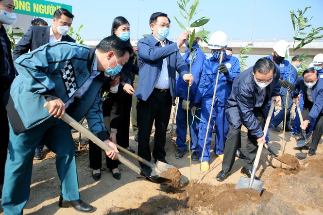 Hà Nội cùng Bộ TN&MT hưởng ứng chương trình trồng 1 tỷ cây xanh - ảnh 1