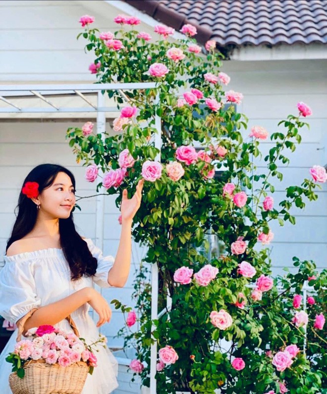 Con gái Quyền Linh được khen xinh đẹp như Hoa hậu tương lai - ảnh 5