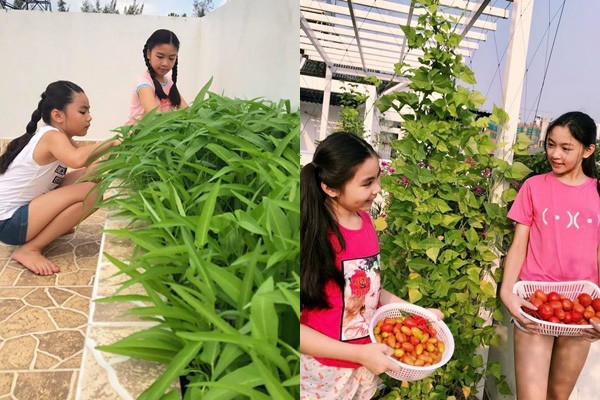 Quyền Linh gây xôn xao khi khoe căn biệt thự 21 tỷ - ảnh 4