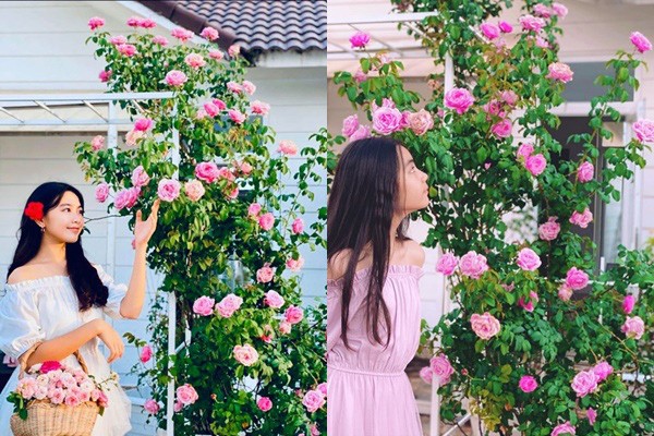 Quyền Linh gây xôn xao khi khoe căn biệt thự 21 tỷ - ảnh 6