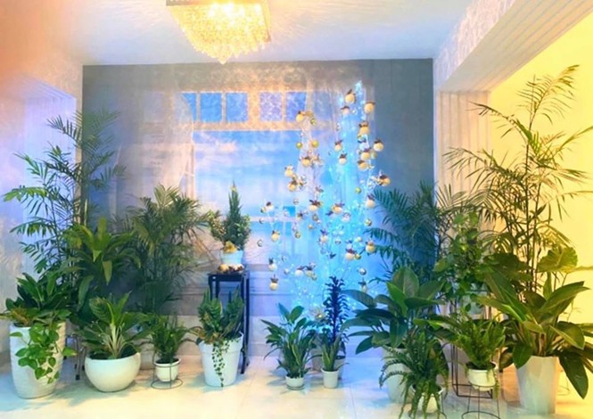Quyền Linh gây xôn xao khi khoe căn biệt thự 21 tỷ - ảnh 7