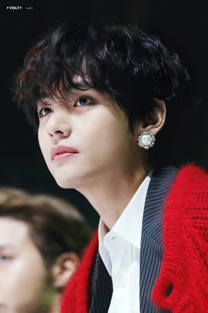 Chưa từng khiến dân tình thất vọng về ngoại hình nhưng V (BTS) lại bị chê hát dở - ảnh 1
