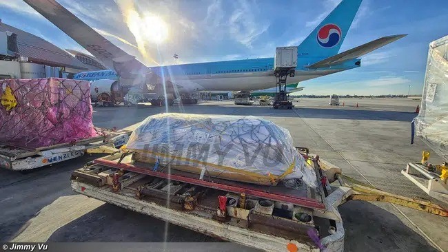 Không phải vợ hay anh trai, đây mới là người duy nhất được đón linh cữu Chí Tài ở Mỹ - ảnh 2