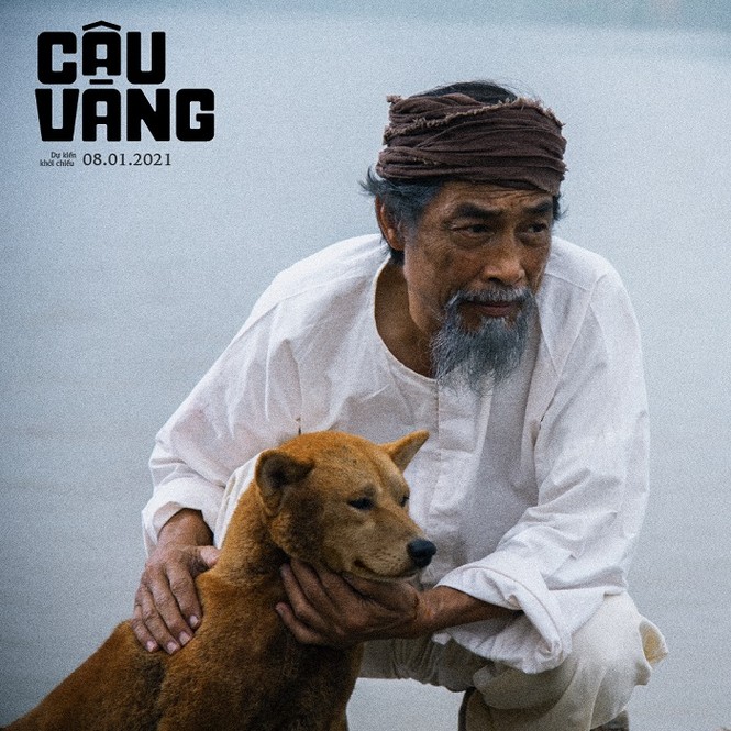 Lão Hạc và cậu Vàng xuất hiện trên màn ảnh có giống như những gì khán giả đã hình dung? - ảnh 3