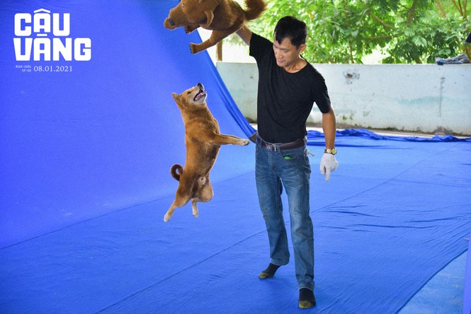Tất tần tật về vai diễn đặc biệt của chú chó được quan tâm nhất trên màn ảnh rộng Tết 2021 - ảnh 1