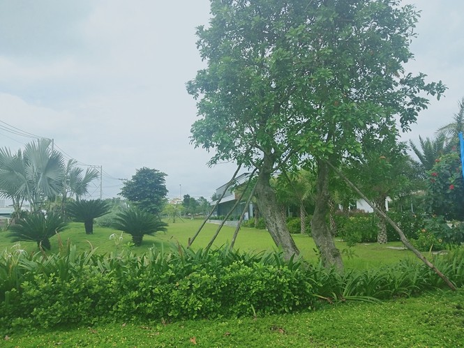 Bất lực cưỡng chế dự án nhà mẫu không phép - ảnh 2