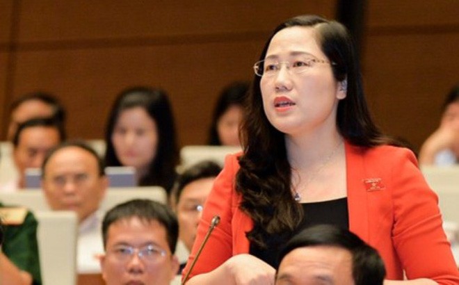 Vụ ly hôn vợ chồng ông Đặng Lê Nguyên Vũ được dẫn chứng tại diễn đàn Quốc hội - ảnh 1