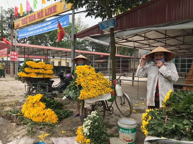 Hết hạn cách ly COVID-19, hoa hồng Hạ Lôi lại đi muôn nơi - ảnh 6