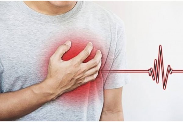 Lên cơn nhồi máu cơ tim sau khi bị ong đốt - ảnh 2