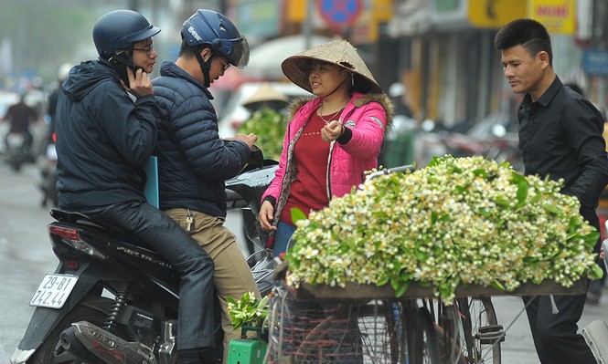 Hoa bưởi dịu dàng về trên phố ngày xuân - ảnh 2