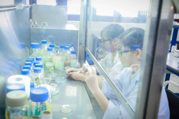 Ngành Bảo vệ thực vật trước xu hướng sản xuất theo hướng bền vững với nông sản an toàn - ảnh 2