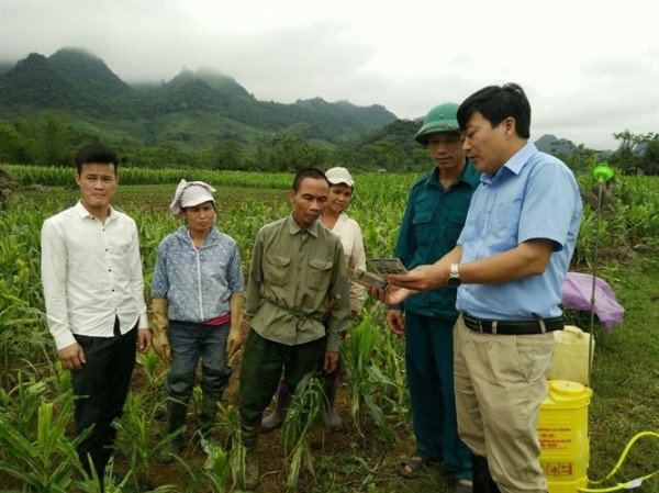 Ngành Bảo vệ thực vật trước xu hướng sản xuất theo hướng bền vững với nông sản an toàn - ảnh 1