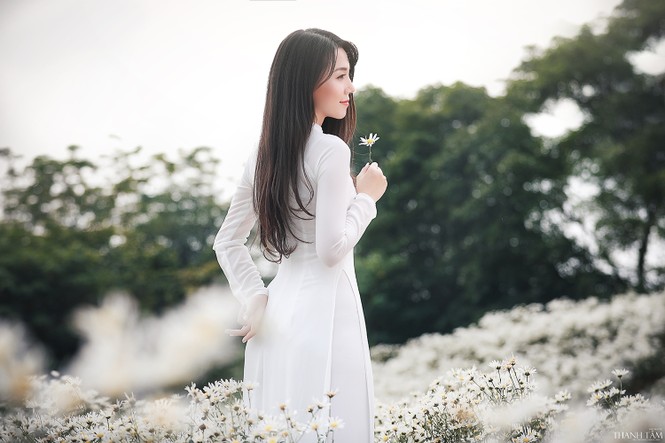 Cô nàng 9X Hà Nội tinh khôi bên cúc hoạ mi - ảnh 3