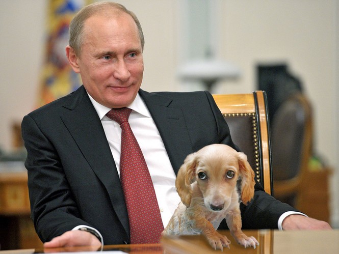 Bé gái nghèo được ông Putin tặng chó husky - ảnh 2