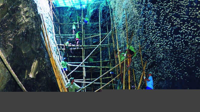 Đầu Xuân luận chuyện yến sào - ảnh 1