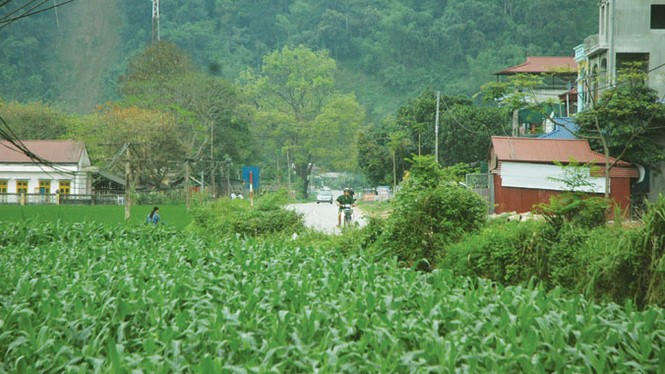 Chuyện lạ trên đường Hồ Chí Minh - ảnh 1