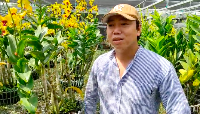 Dân trồng lan ở Sài Gòn thấp thỏm lo hoa nở không kịp Tết - ảnh 9