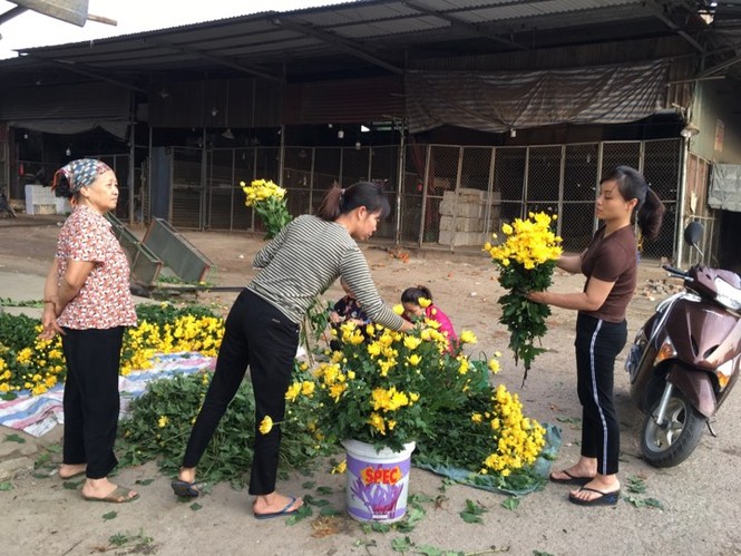 Rau xanh, hoa tươi ở Hà Nội rớt giá thê thảm sau Tết - ảnh 1