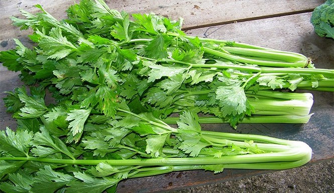 Những tác dụng không ngờ của chất xơ với cơ thể - ảnh 6
