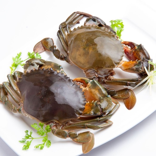 Những thực phẩm ‘siêu tốt’ với người bị tai biến mạch máu não - ảnh 3