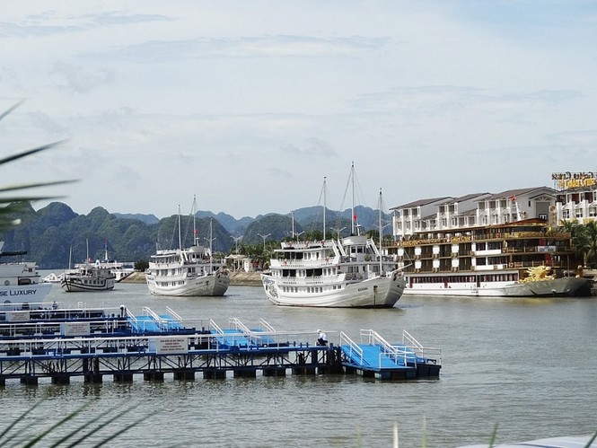 Doanh nhân Đào Hồng Tuyển được mời làm Hội viên danh dự Hội Quy hoạch phát triển - ảnh 1