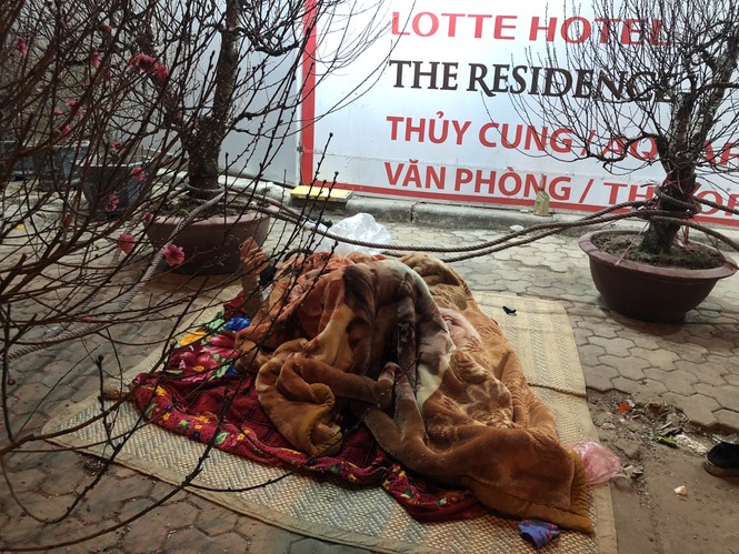 Dân buôn thức trắng đêm 'canh' đào, bưởi trên vỉa hè Hà Nội - ảnh 8