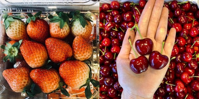 Nho 11 triệu đồng/chùm, dưa hấu 4 triệu/quả vẫn hút giới nhà giàu Việt - ảnh 2