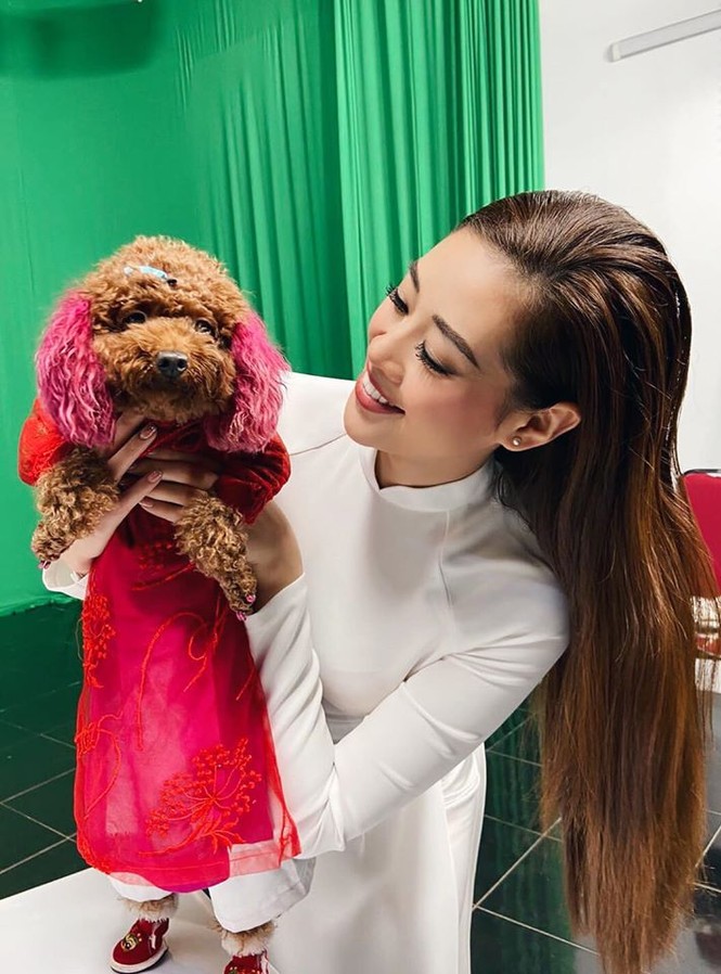 Đỗ Mỹ Linh 'kín cổng cao tường', Hoàng Thuỳ khoe đường cong gợi cảm với váy da báo - ảnh 11