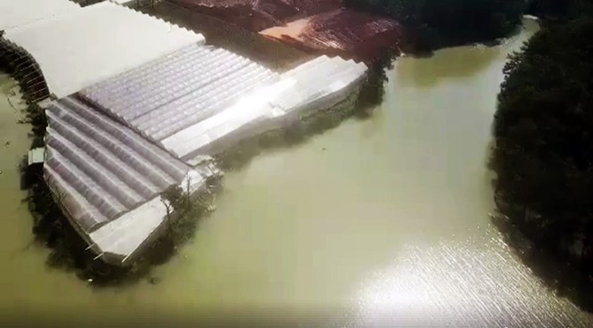 San bạt núi đồi đe dọa hồ cấp nước sinh hoạt của TP Đà Lạt - ảnh 2