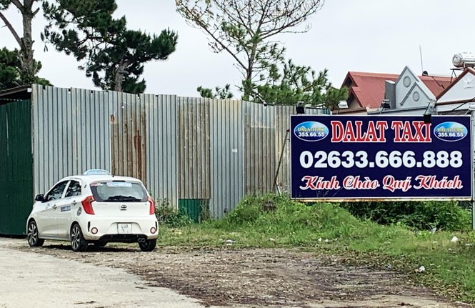 Giám đốc dùng bằng giả, HTX taxi với hàng trăm tài xế bị thu hồi giấy phép - ảnh 1