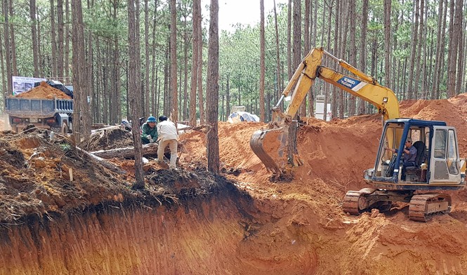 Cả chục doanh nghiệp 'băm nát' thắng cảnh quốc gia hồ Tuyền Lâm - ảnh 1