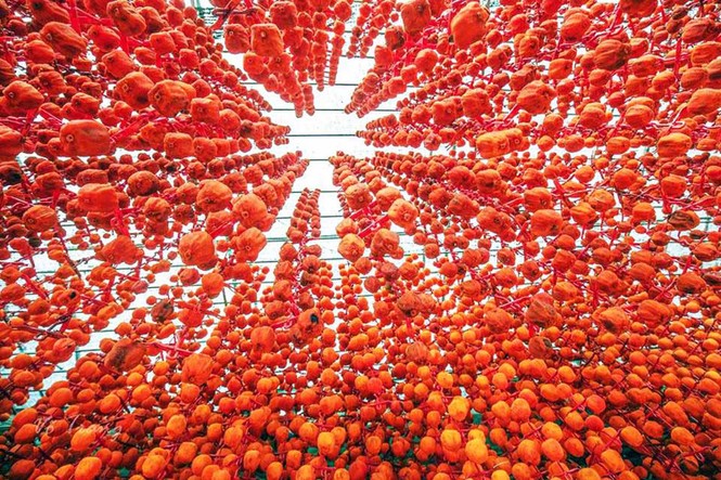 Làng hồng lâu đời nhất miền Nam hồi sinh - ảnh 2