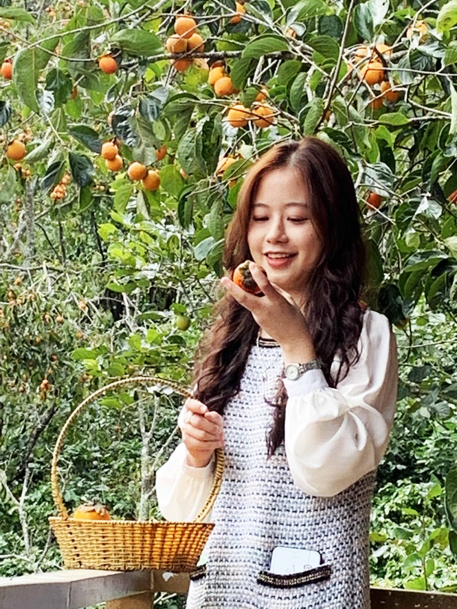 Làng hồng lâu đời nhất miền Nam hồi sinh - ảnh 4