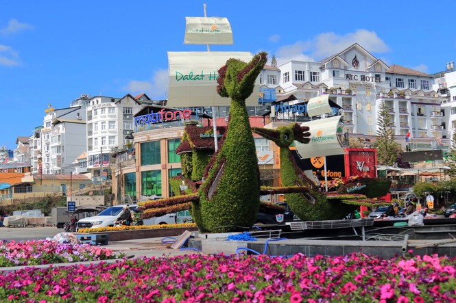 Trích xuất camera truy tìm kẻ trộm tiểu cảnh hoa của Festival - ảnh 1