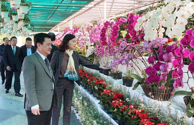 Muôn hoa khoe sắc rực rỡ tại Hội hoa xuân Đà Lạt - ảnh 1