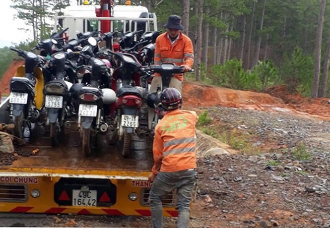 Đột kích trường gà giữa rừng nguyên sinh - ảnh 1